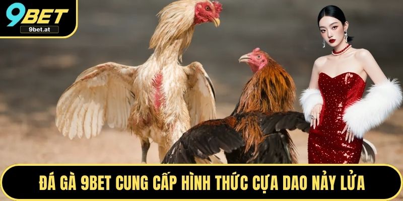 Đá gà 9BET cung cấp hình thức cựa dao nảy lửa